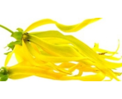 Hydrolat Ylang - Ylang Haldi-Aroma zone, 100 毫升