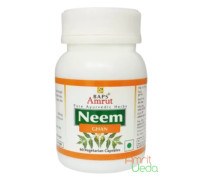 Neem 提取物, 60 胶囊