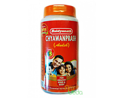 Chyawanprash Awaleha Baidyanath, 500 克