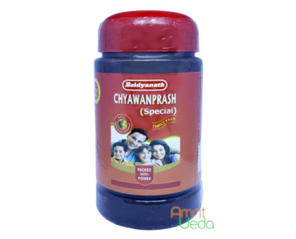 Chyawanprash Special Baidyanath, 500 克