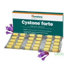 Cystone Forte, 60 药片