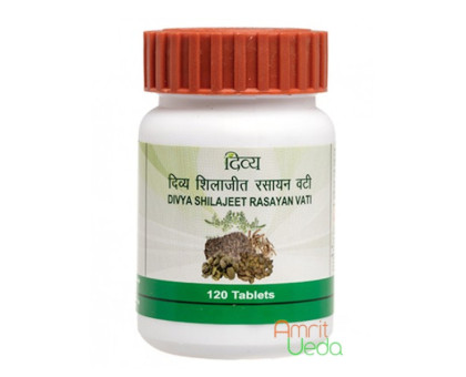 Shilajeet Rasayan vati Patanjali, 120 药片