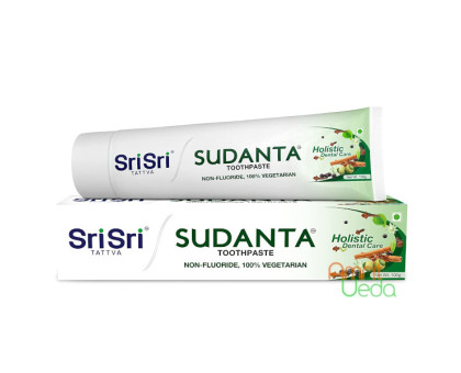 Toothpaste Sudanta Sri Sri Tattva, 100 克