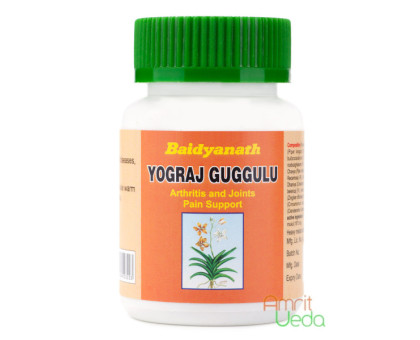 Yogaraj Guggul (Yograj Guggulu) Baidyanath, 100 药片 - 45 克